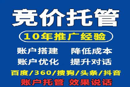 竞价广告的投放策略调整：基于数据反馈的实战案例
